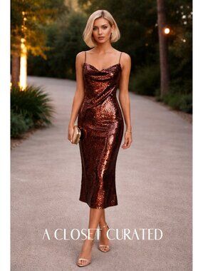 Shona Joy Dress 4 NWT